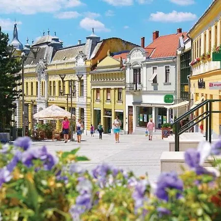 Kossuth Loft Apartment- Best Location In Downtown Lägenhet Veszprém